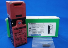 XCS PA591 Schinider Rated Interlock Switch, Polyamide, NO/NC