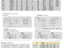 Gear Motor